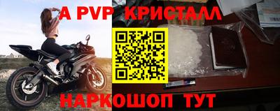 СК Белореченск