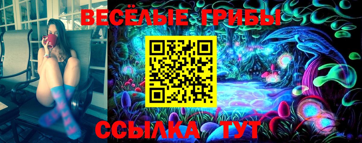 Галлюциногенные грибы ЛСД Курган