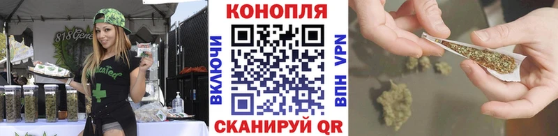 Шишки марихуана сатива  купить наркотик  Курган 