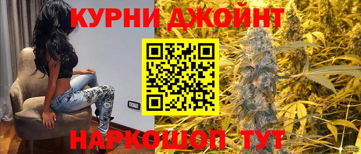 Бошки Шишки SATIVA & INDICA  Бошки Шишки семена  Конопля план  Курган  Конопля конопля  Вход с VPN 